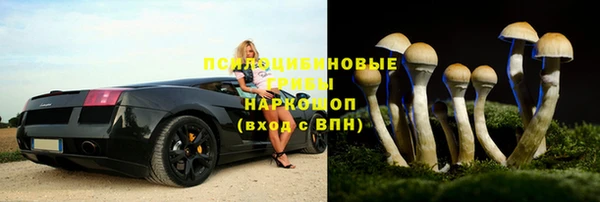 ПСИЛОЦИБИНОВЫЕ ГРИБЫ Куйбышев