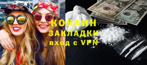 индика Кукмор