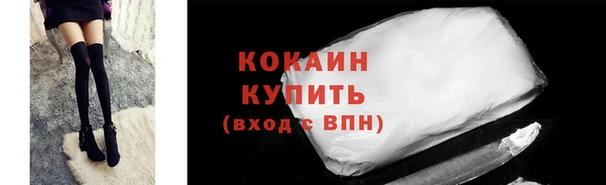 индика Кукмор