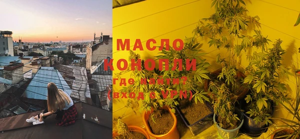 индика Кукмор