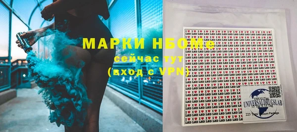 индика Кукмор