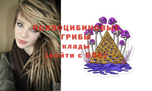 ПСИЛОЦИБИНОВЫЕ ГРИБЫ Куйбышев