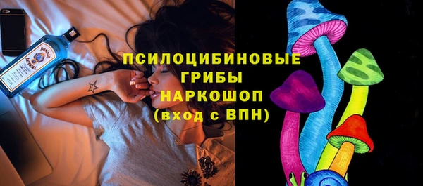 индика Кукмор